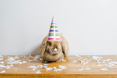 🎉 Мостику 1 год!