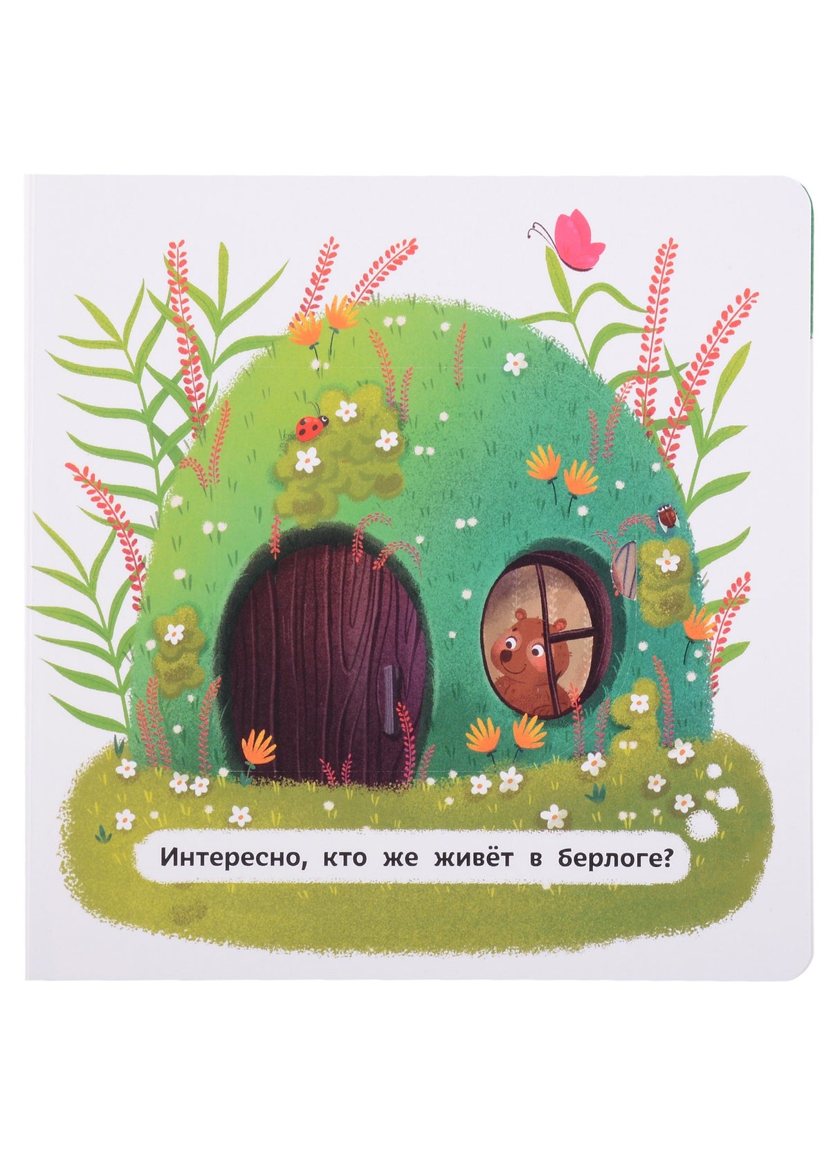 Ежик ищет домик дп