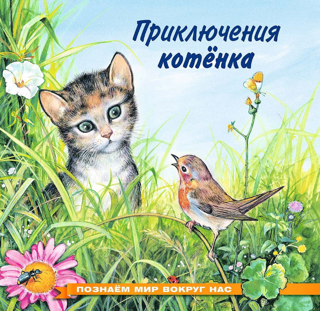 Приключения котёнка
