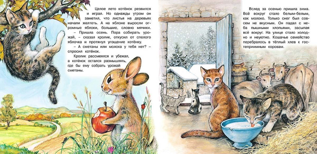 Приключения котёнка