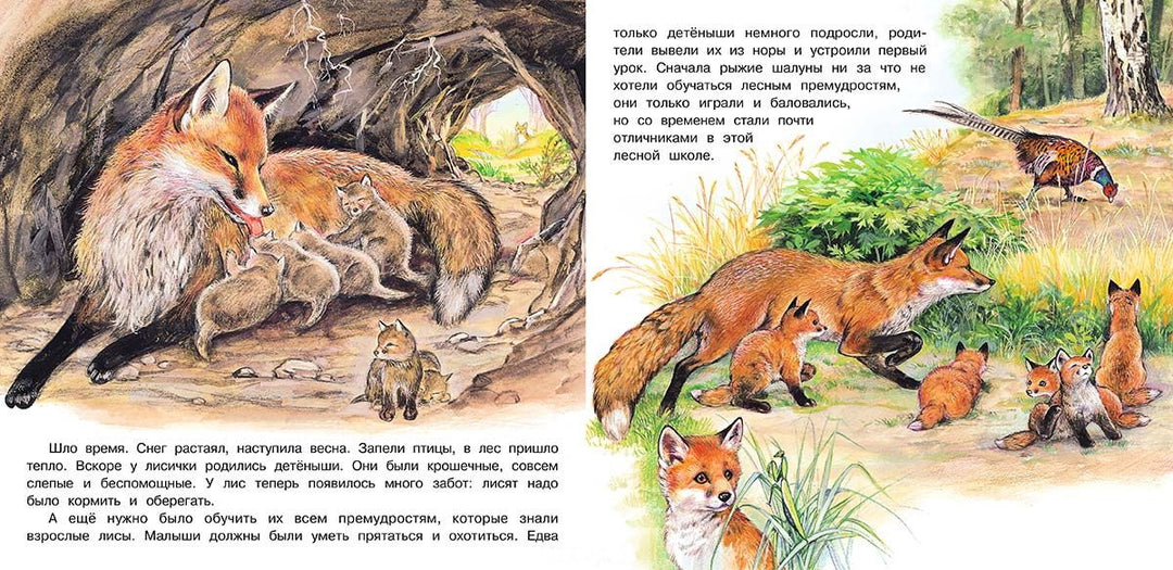 Приключения лисёнка