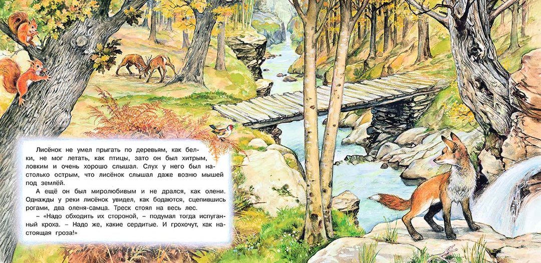 Приключения лисёнка