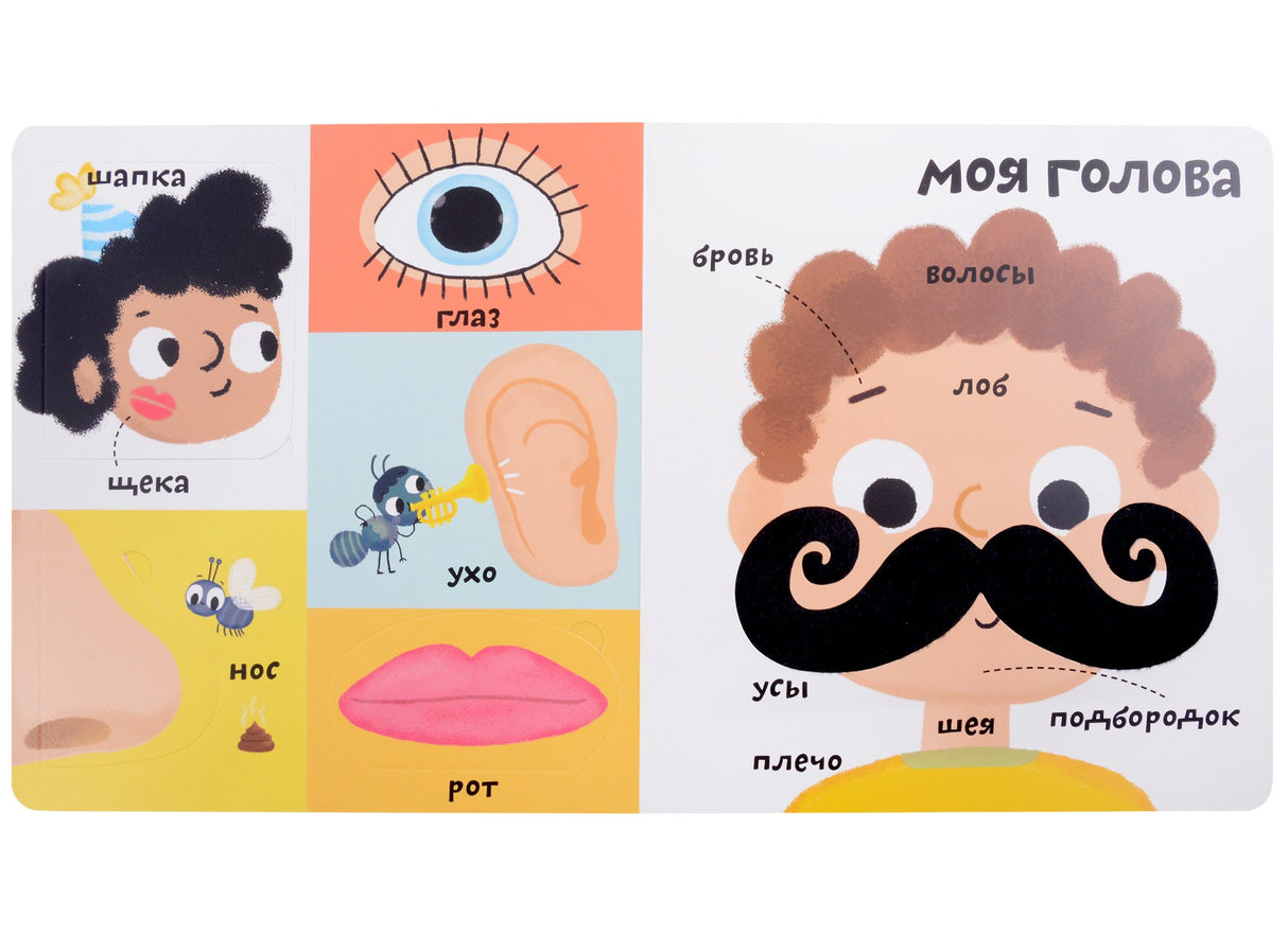 Мои первые 100 слов с большими окошками. Мое тело 3338007804329, 978-5-4366-0872-3, 9000080078044 - 2