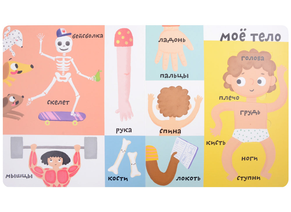 Мои первые 100 слов с большими окошками. Мое тело 3338007804329, 978-5-4366-0872-3, 9000080078044 - 1