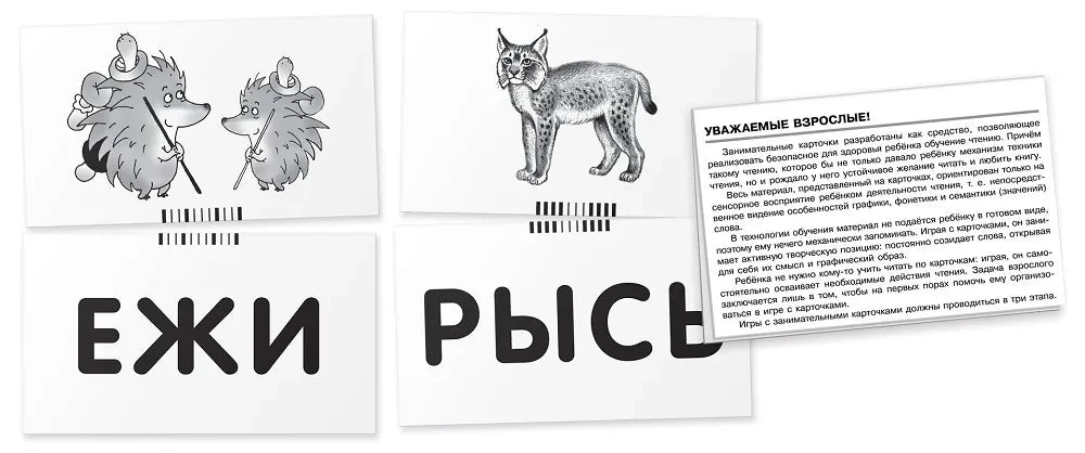 Лев. Читаем слова-слоги. Набор карточек null - 3