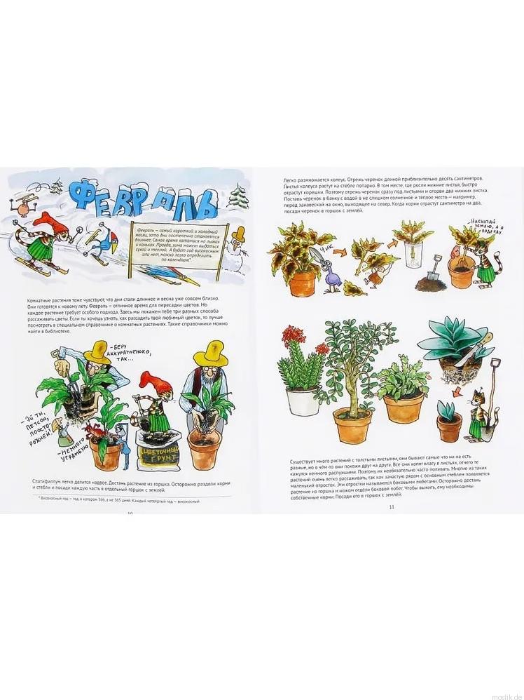 Книга "Поделки Финдуса": уход за комнатными растениями