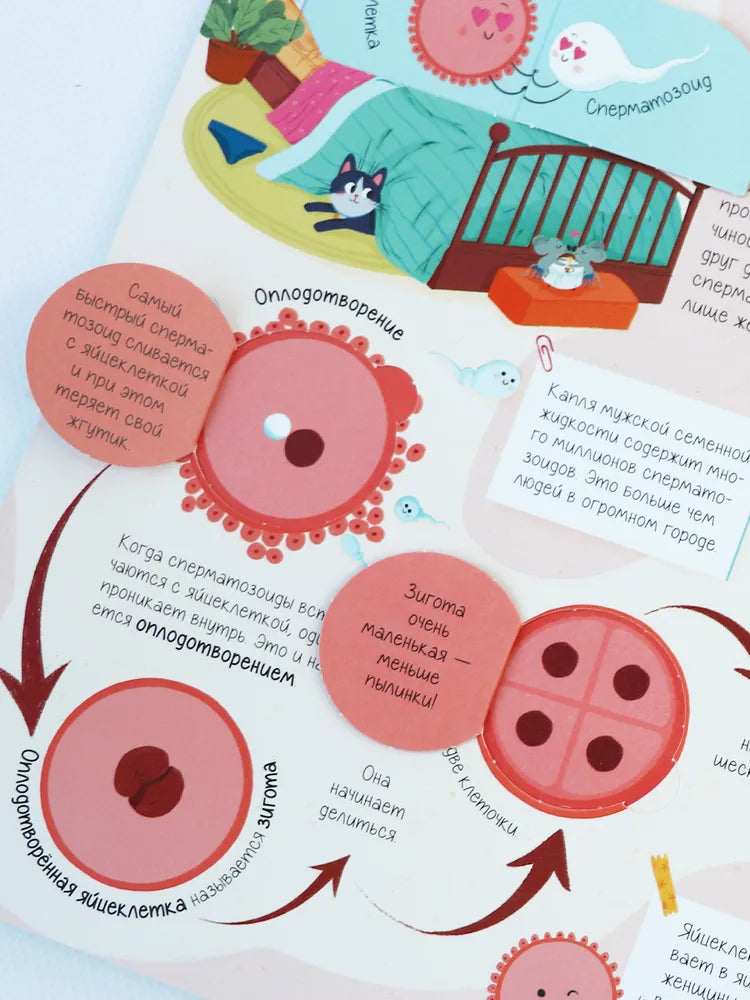 Нескучные окошки. Про это. Правдивые ответы на интимные вопросы