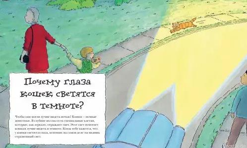 Иллюстрация из книги "Почему?" про кошку