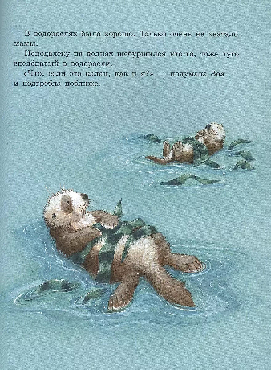 Скорей давай лапу! null - 3