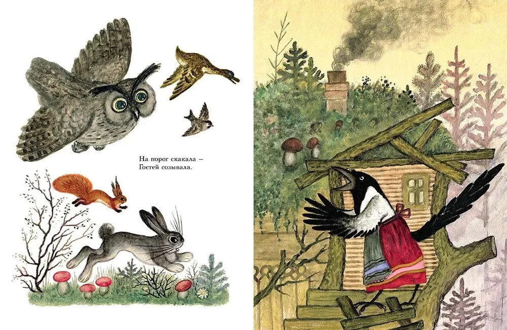 Сорока-белобока null - 2