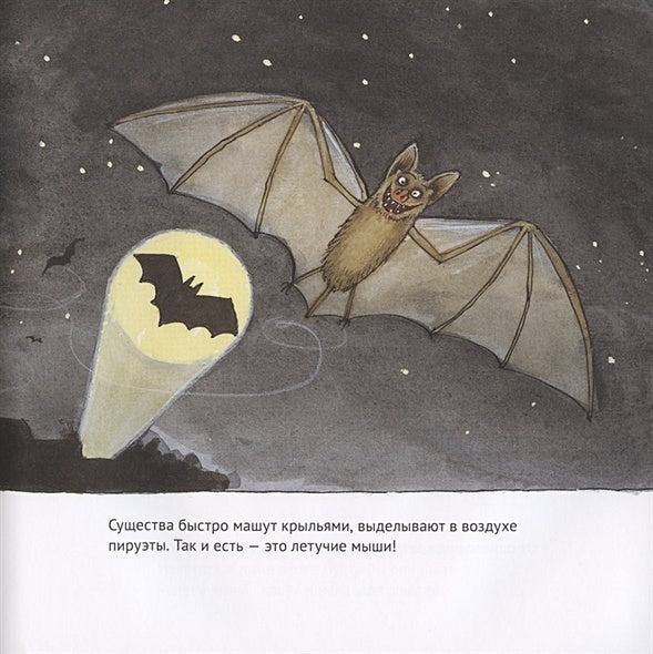 Удивительные летучие мыши 978-5-00114-103-7 - 0