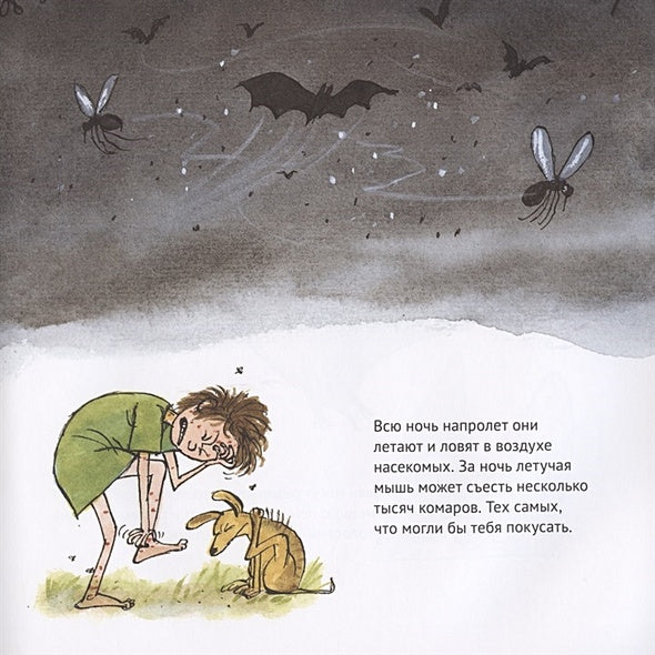 Удивительные летучие мыши 978-5-00114-103-7 - 1