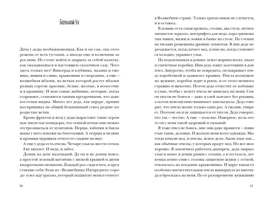 Пирог с черемухой 9785001143062