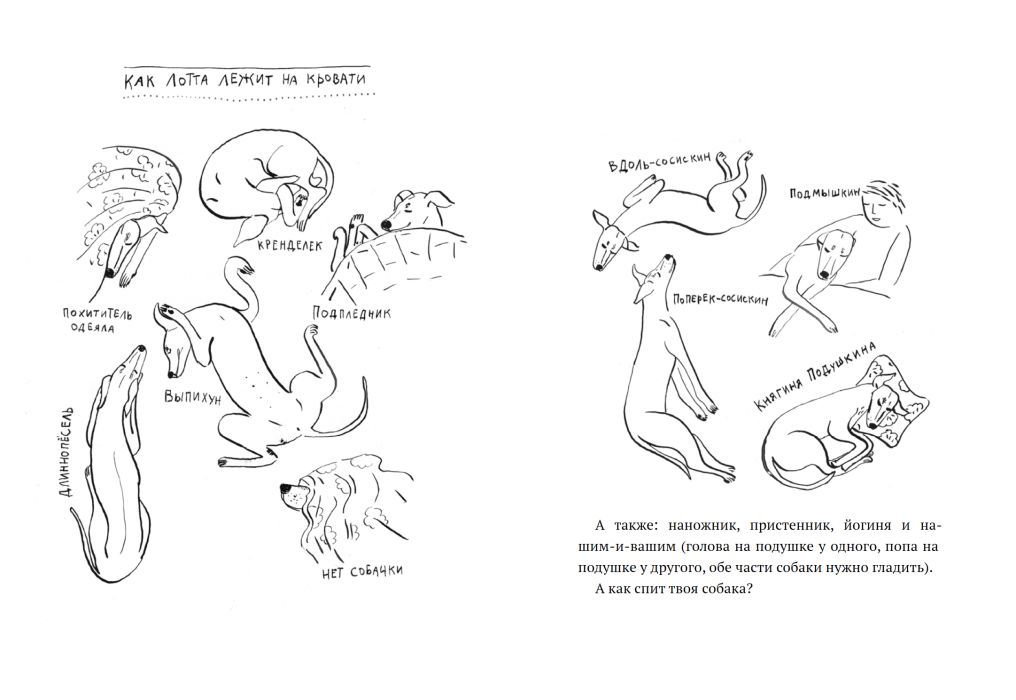 Лотта, или как воспитать человеческую стаю 978-5-00114-361-1 - 8