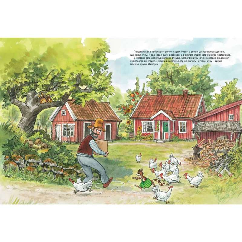 Чужак в огороде 9785001143666