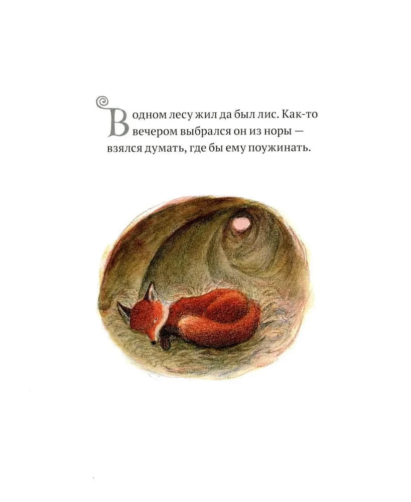 Гном и лис null - 2