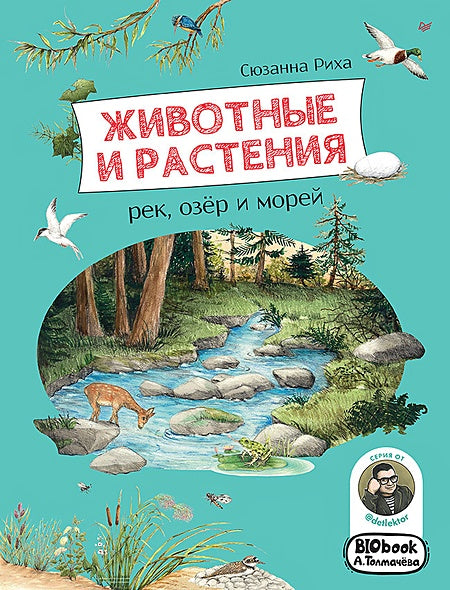 Обложка Животные и растения рек, озер и морей. BIObook А. Толмачева 978-5-00116-658-0