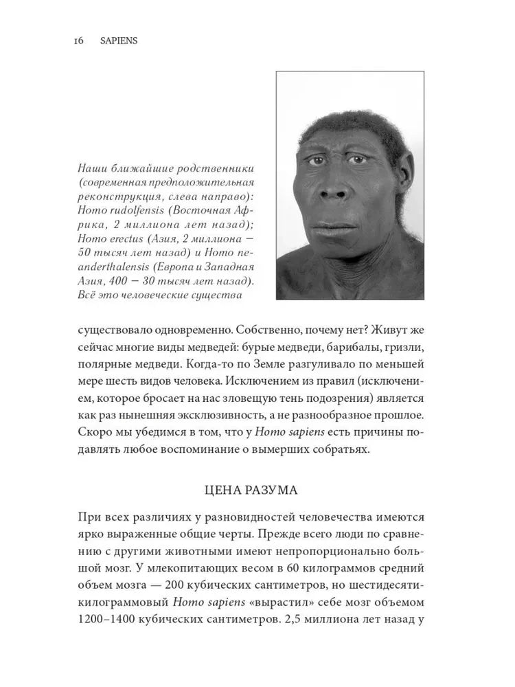Sapiens. Краткая история человечества 9785001313724