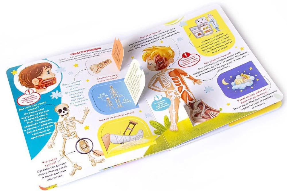 Как устроен человек? Книжка с окошками null - 1