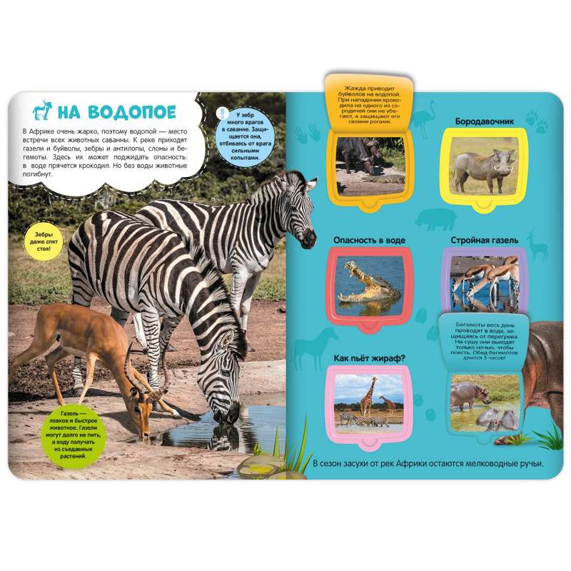 Саванна null - 1