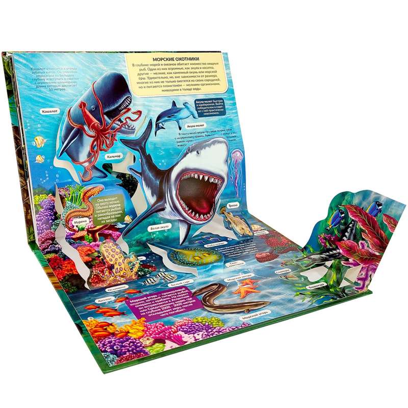 POP UP энциклопедия. Хищники книжка-панорамка 9785001347262