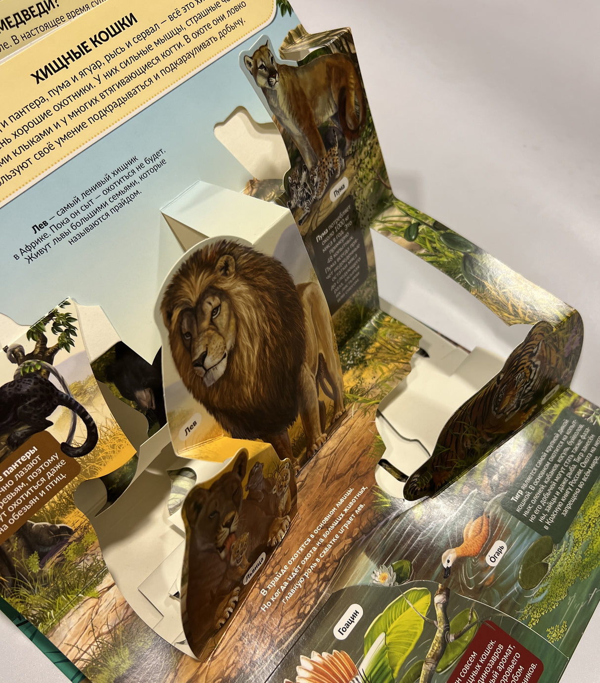Хищники. Книжка-панорамка 978-5-00-134726-2 - 2