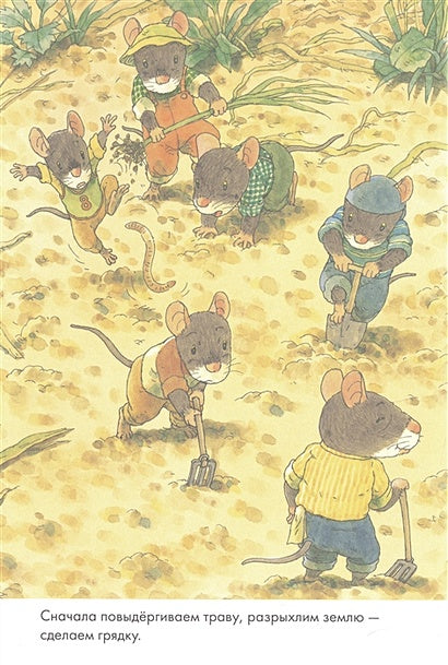 14 лесных мышей. Тыква 978-5-00167-486-3 - 2