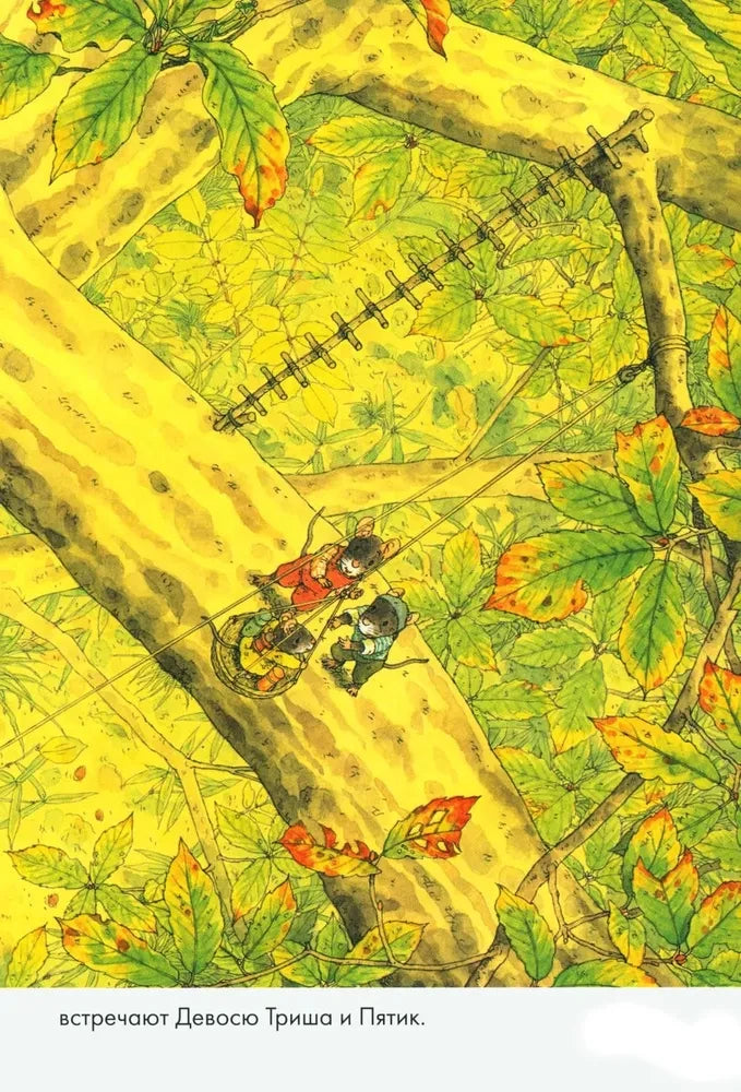 Суточный комплект. 14 лесных мышей: Завтрак. Стирка. Ужин с луной. Колыбельная (комплект из 4 книг) 9785001675488