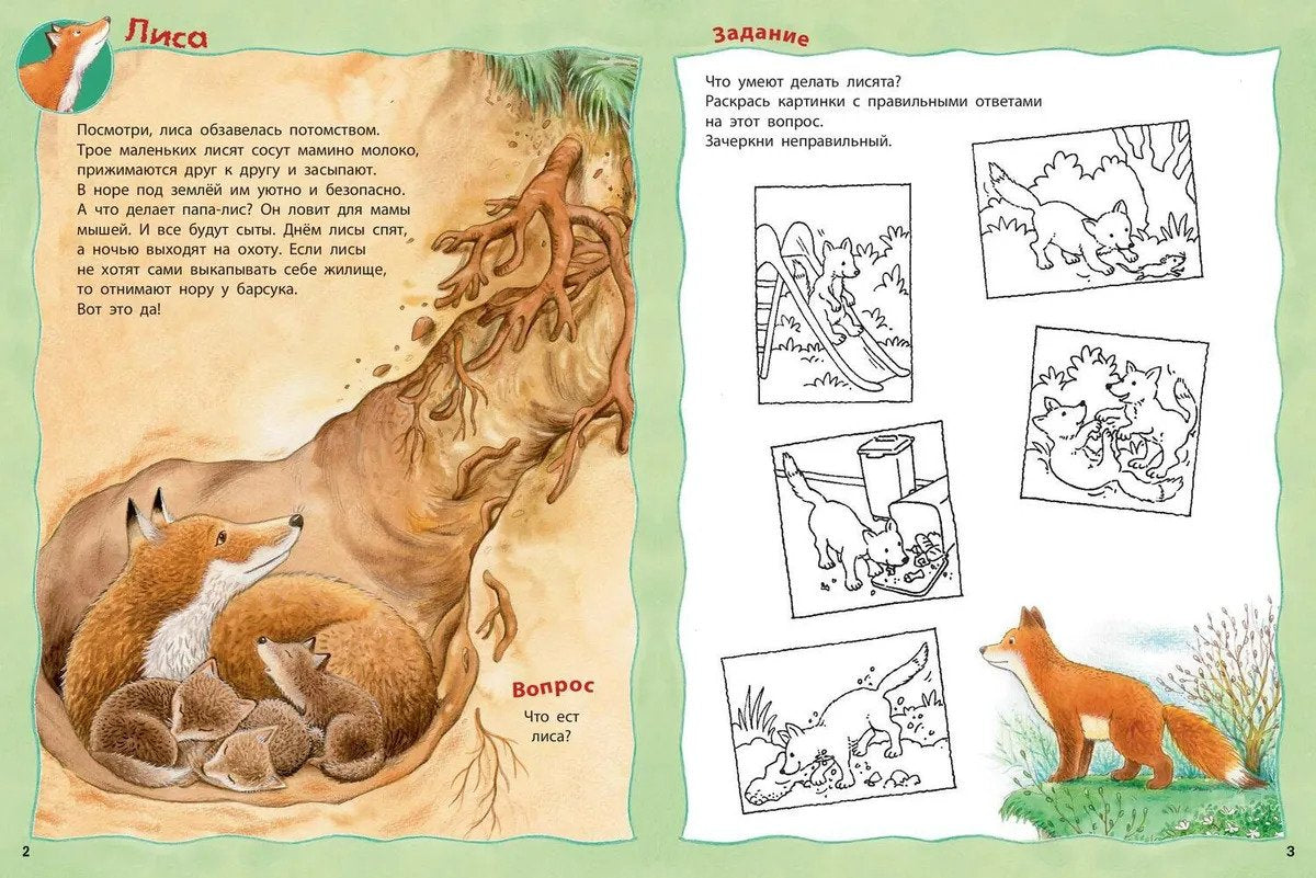 Кто живет в лесу? Книжка-активити 978-5-00198-038-4 - 1