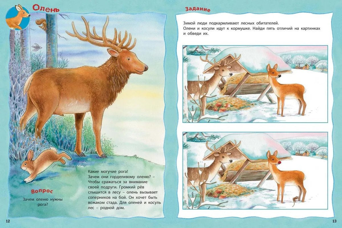 Кто живет в лесу? Книжка-активити 978-5-00198-038-4 - 3