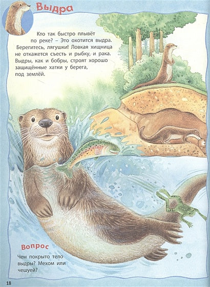 Кто живет в реке? Книжка-активити. Задания и головоломки + более 60 наклеек с животными 978-5-00198-041-4 - 0