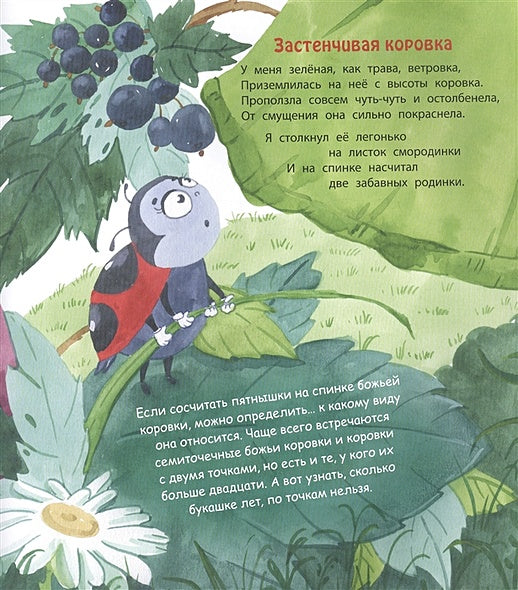 Букашки в кармашке 978-5-00198-049-0 - 2