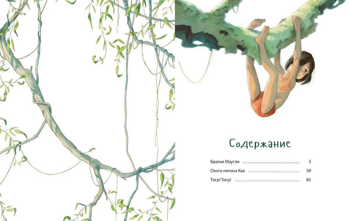 Книга джунглей. История Маугли 978-5-00198-157-2 - 6