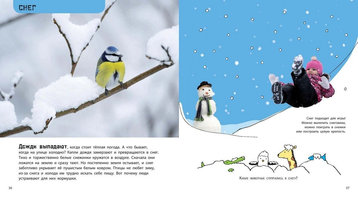 От града до торнадо. Прекрасные и опасные явления природы 978-5-00198-275-3 - 5