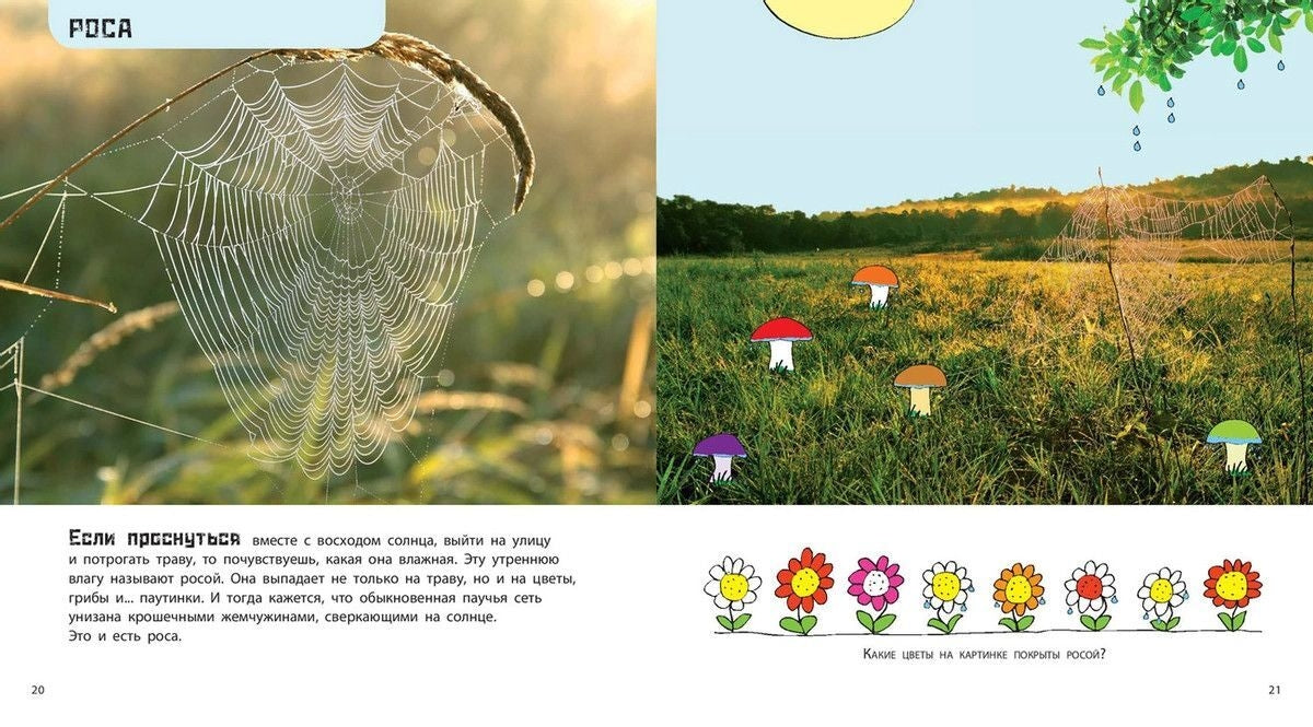 От града до торнадо. Прекрасные и опасные явления природы 978-5-00198-275-3 - 4