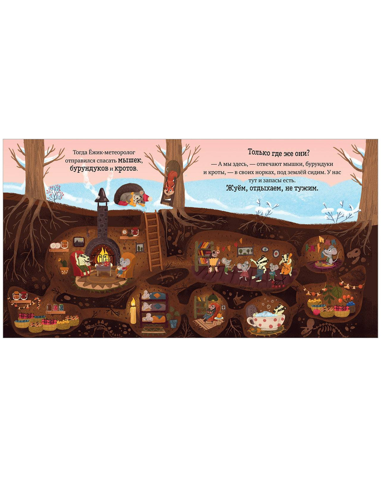 Приключения Ёжика. Зима/Ульева Е. 9785002110254