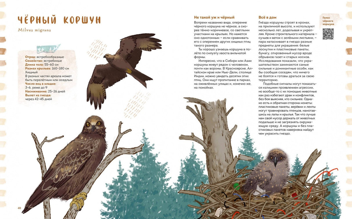 Птицы в деревне. Где найти и как узнать 9785002140930