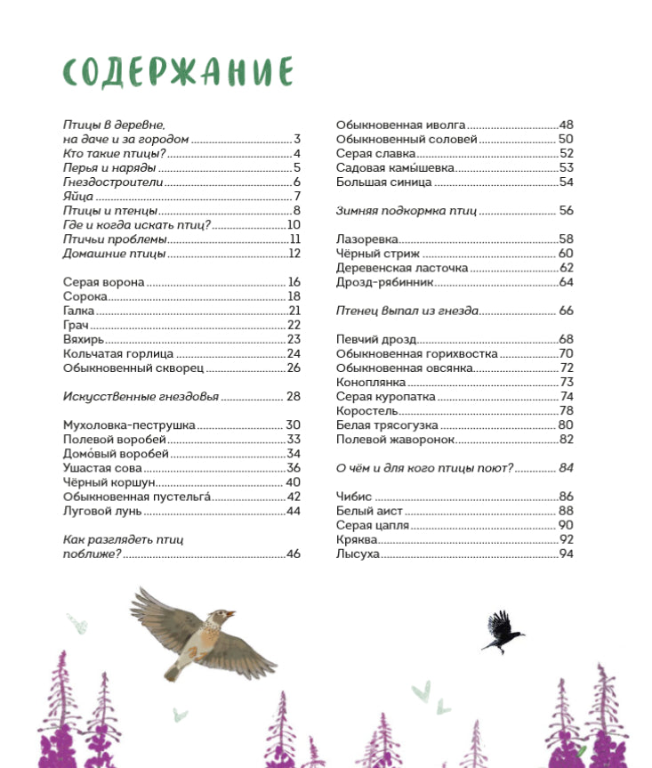 Птицы в деревне. Где найти и как узнать 978-5-00214-093-0 - 4
