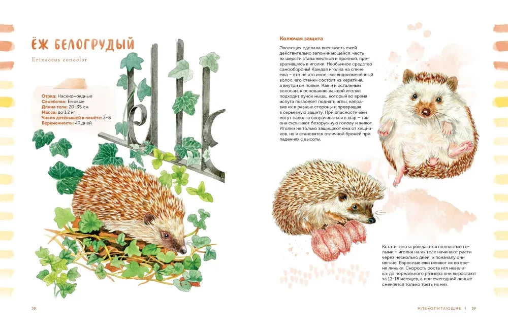 Животные в городе. Где найти и как узнать 9785002142125