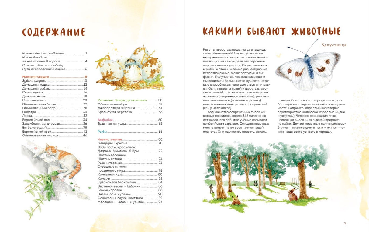 Животные в городе. Где найти и как узнать 9785002142125