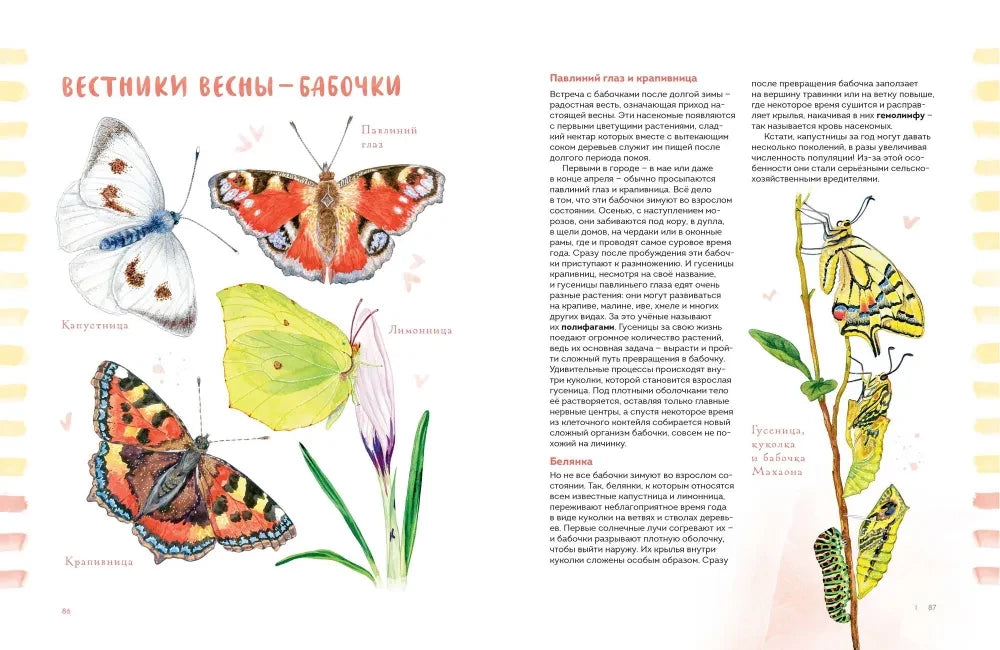 Животные в городе. Где найти и как узнать 9785002142125