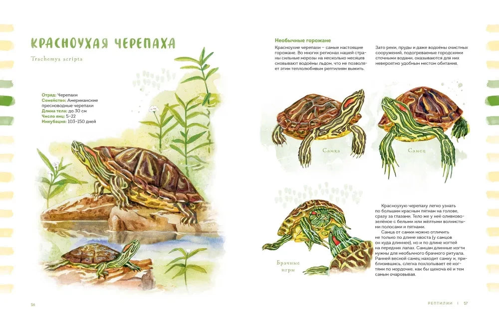 Животные в городе. Где найти и как узнать 9785002142125