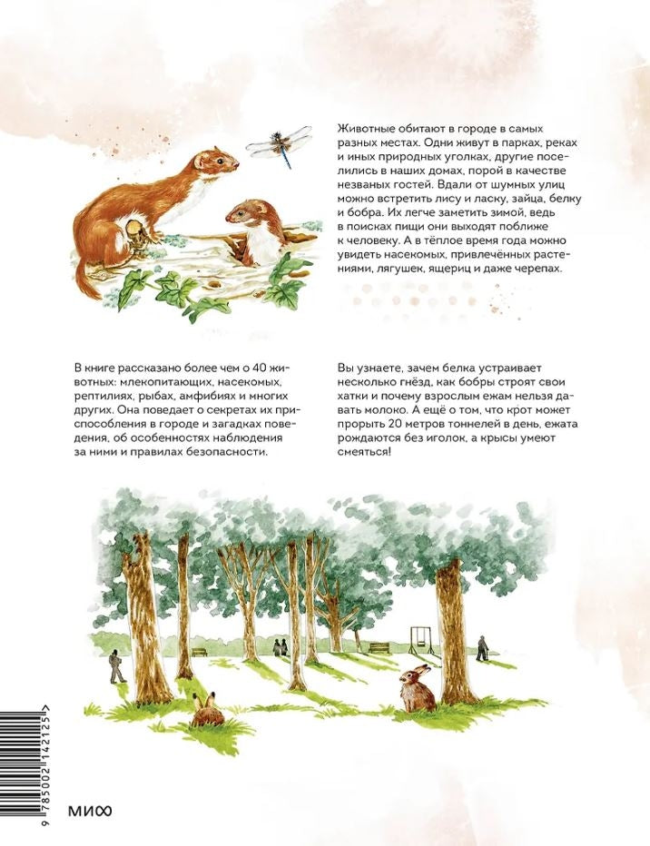 Животные в городе. Где найти и как узнать 978-5-00214-212-5 - 3