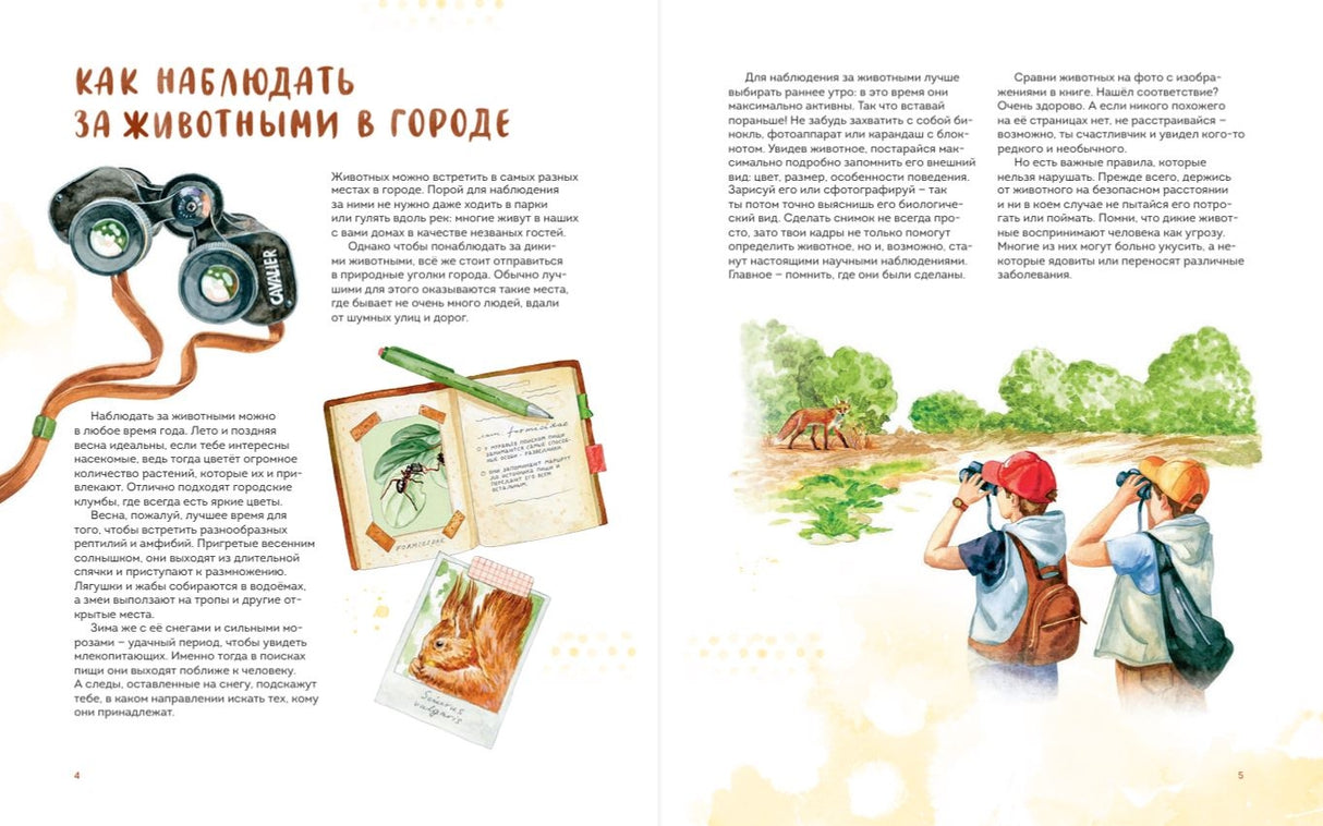 Животные в городе. Где найти и как узнать 978-5-00214-212-5 - 2