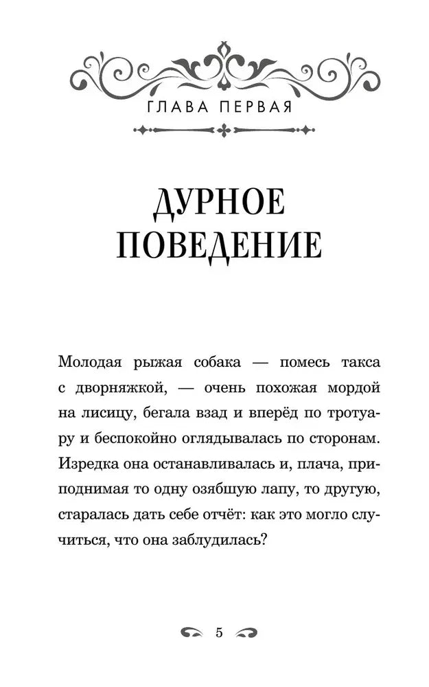 Каштанка и другие рассказы null - 3