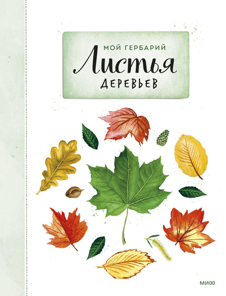 Мой гербарий. Листья деревьев null - 0