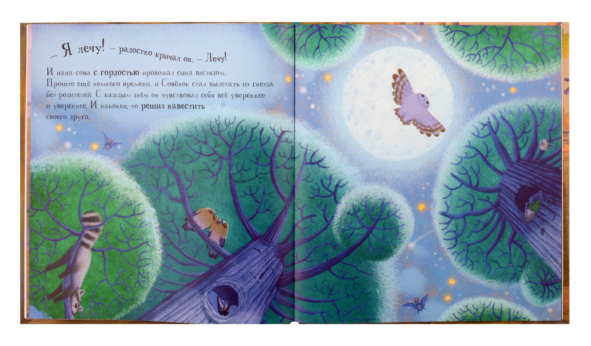 Совёнок 9785002300761