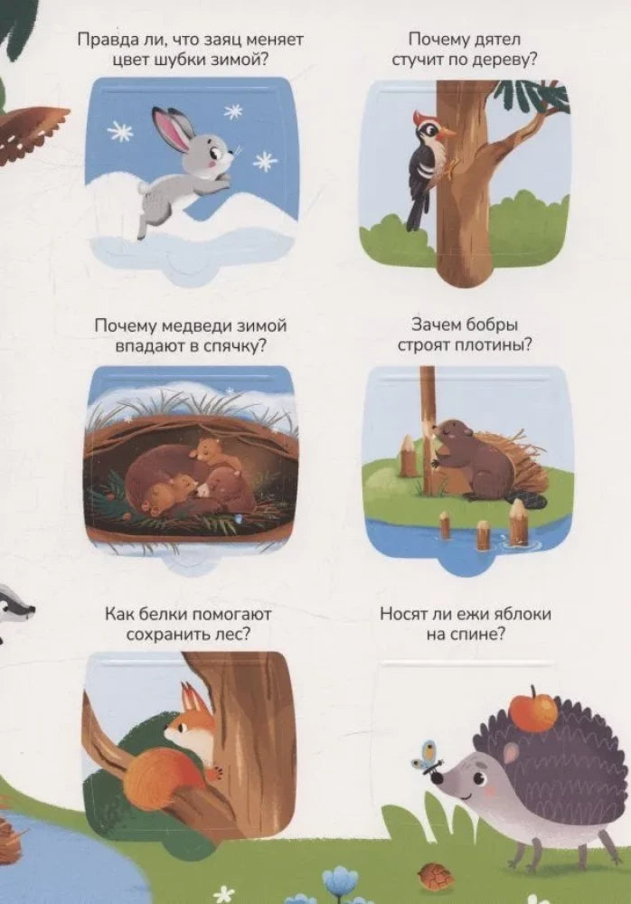 Знания в окошках. Животные null - 3