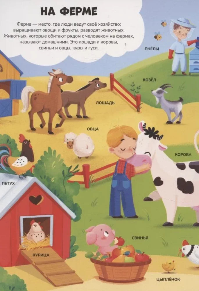 Знания в окошках. Животные null - 2