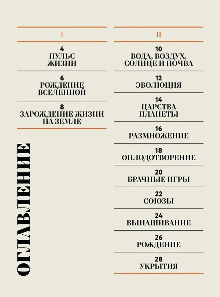 Чудесная книга жизни 9785006307162